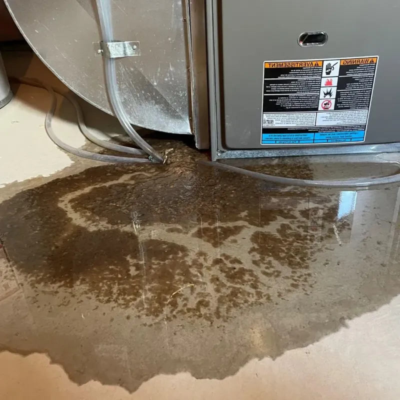 Pipe Burst and Leak Restoration in Ohio County, KY