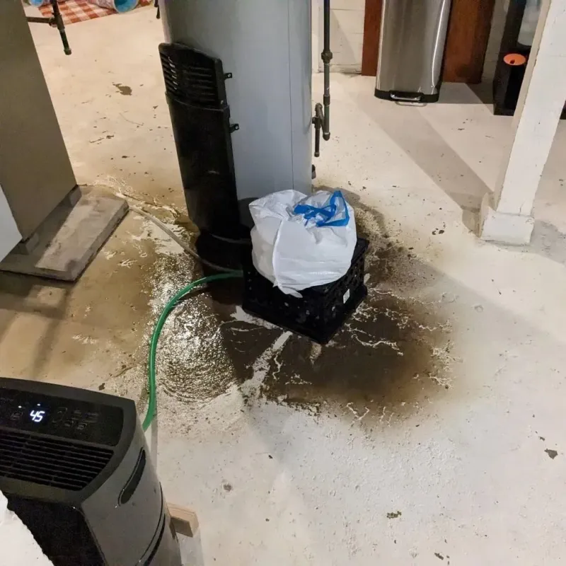 Sewage Backup Cleanup Service in Ohio County, KY